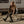 Charger l'image dans la galerie, Veston Moto Wildust Sisters - Runaway